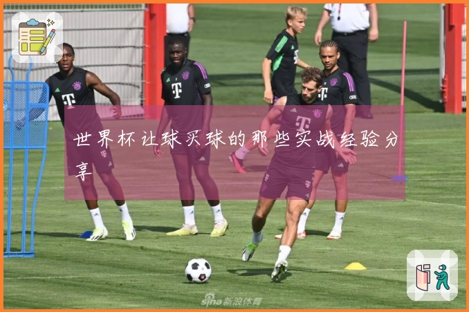 世界杯让球买球的那些实战经验分享