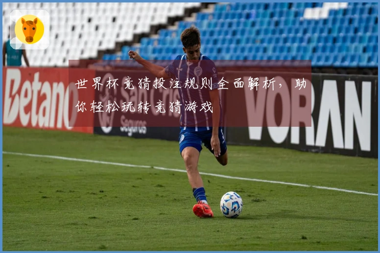 世界杯竞猜投注规则全面解析，助你轻松玩转竞猜游戏